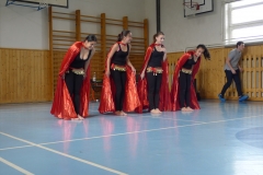den romů 14