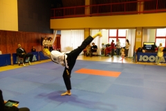 IMGP2011