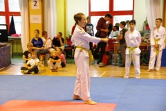 IMGP2054