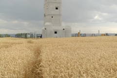 IMG_20190709_1559125