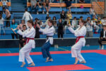 Havířovský pohár 2022 – Mistrovství ČR v poomsae